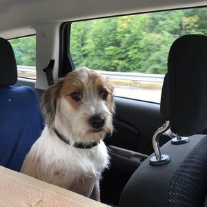 Meet your Posher, Brandee